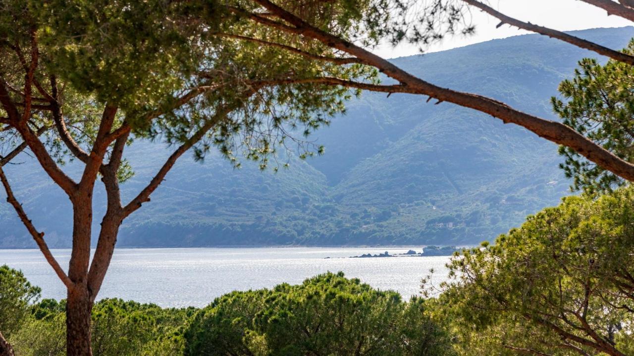 Camping Lacona Pineta Capoliveri  Luaran gambar