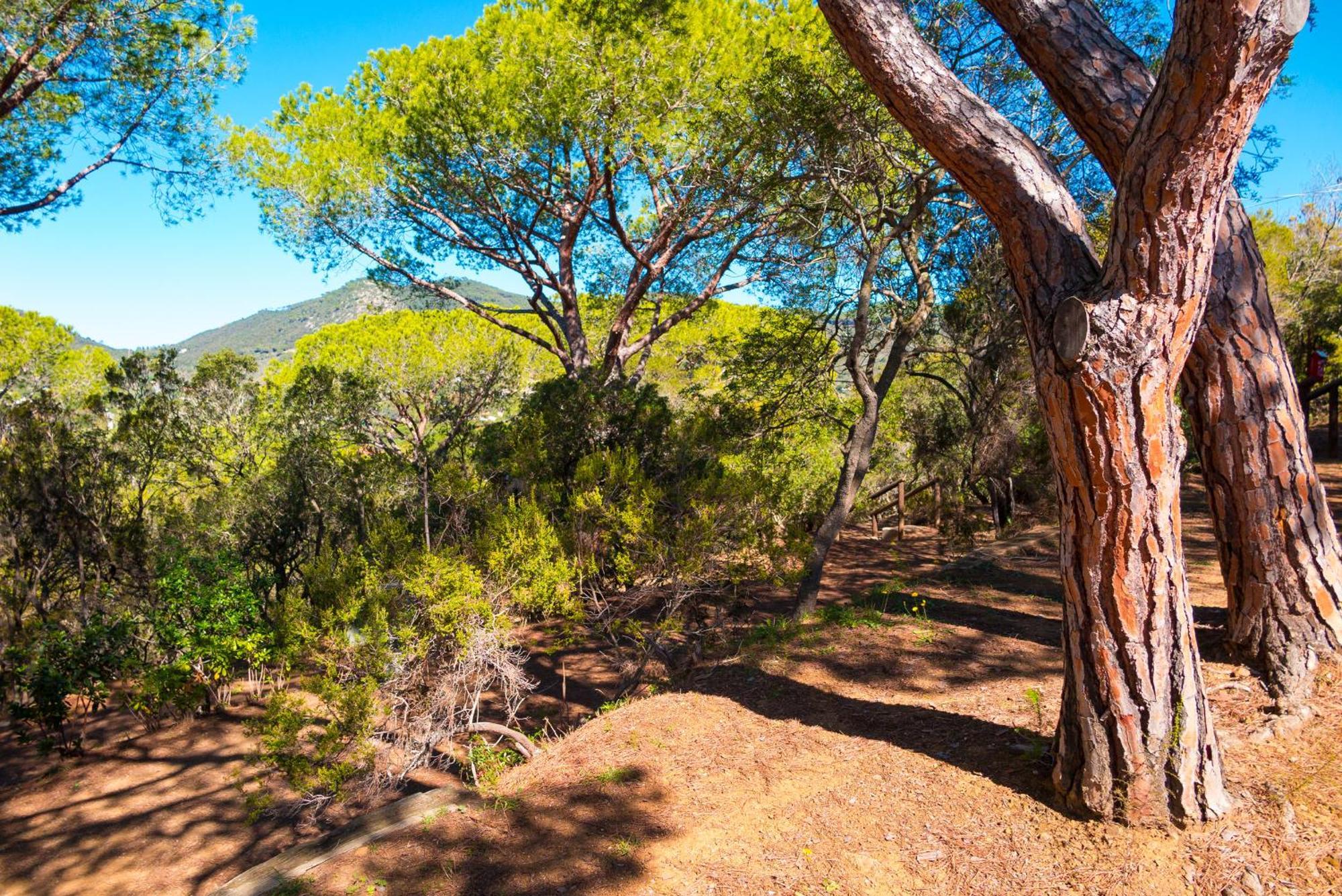 Camping Lacona Pineta Capoliveri  Luaran gambar