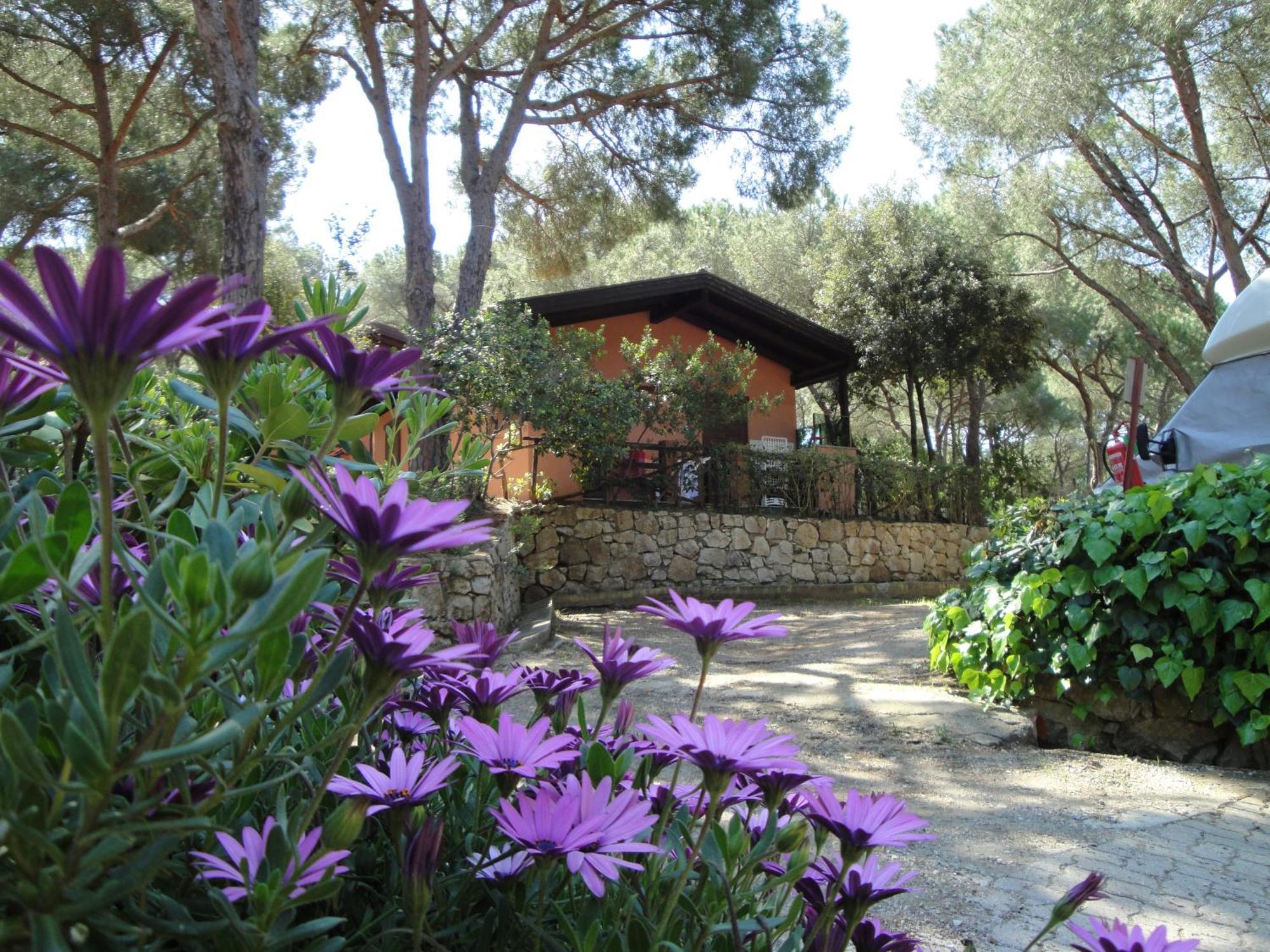 Camping Lacona Pineta Capoliveri  Luaran gambar