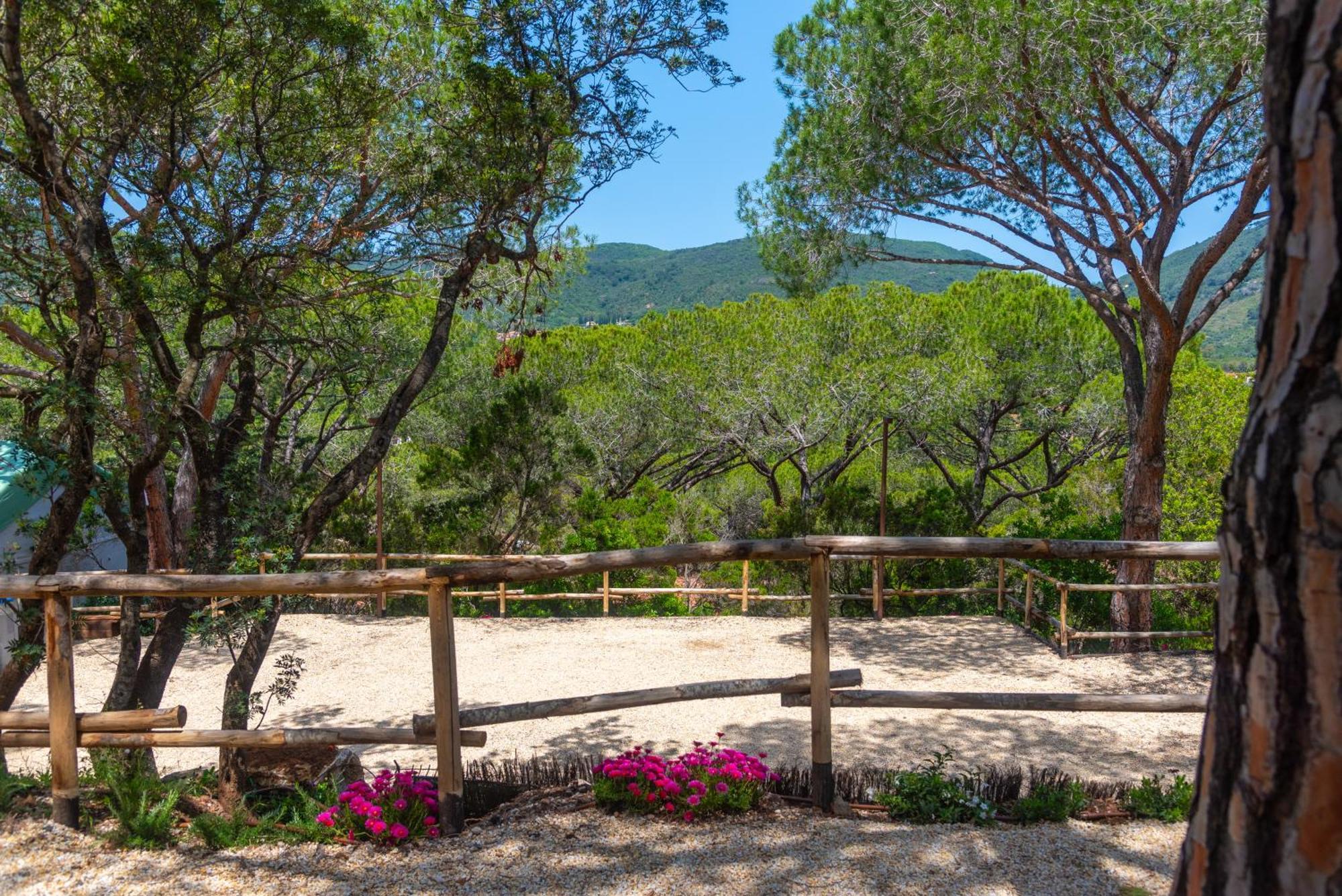 Camping Lacona Pineta Capoliveri  Luaran gambar